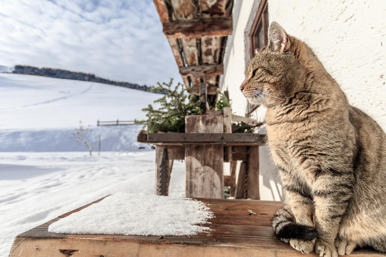 Christernhof Villa Мария Алм ам Щайнернен Мер Екстериор снимка